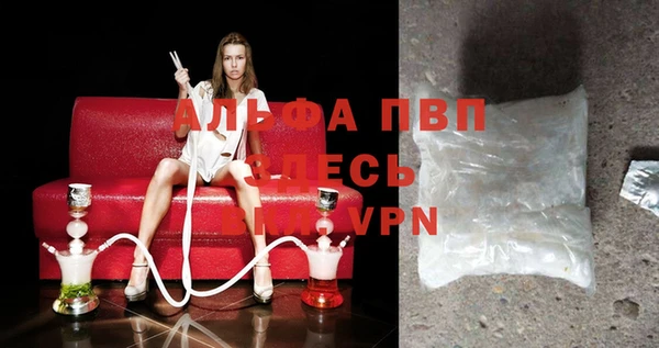 spice Бородино