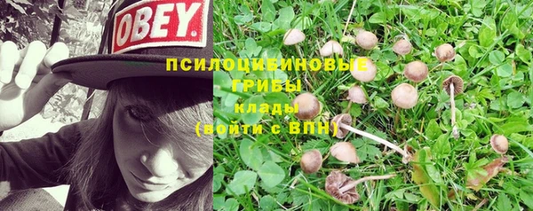 круглые Бронницы
