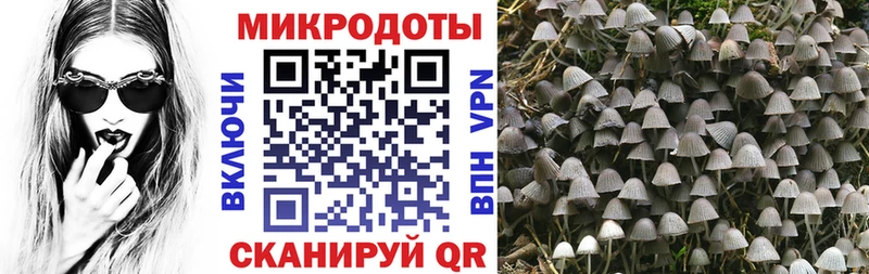 KRAKEN маркетплейс  наркота  Горнозаводск  Галлюциногенные грибы GOLDEN TEACHER 